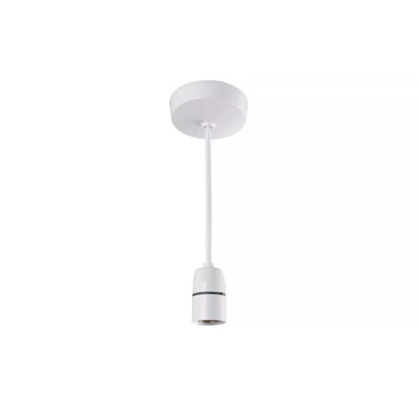 BG Ceiling Rose with BC Light Bulb Fitting